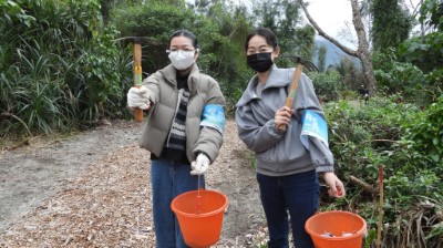 七星潭啟動臨海植群「宮脇法」復育，　營造親人的森林生態。